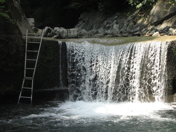 camp24 (220).jpg